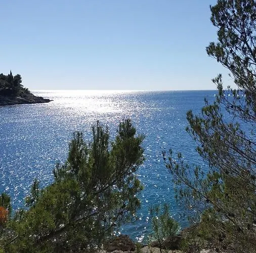 Tomas Near The Apartment Pula