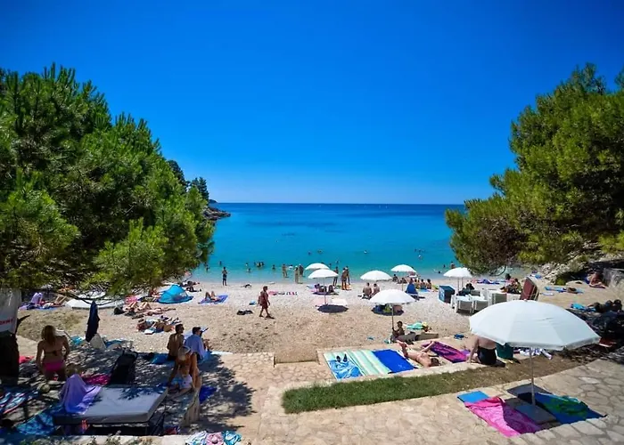 Apartment Tomas Near The *