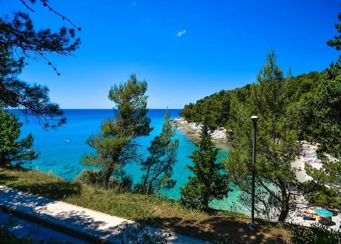 Apartment Tomas Near The *